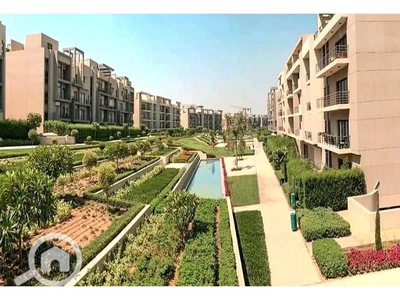 10 8082164-178b8o - Copy. jpg