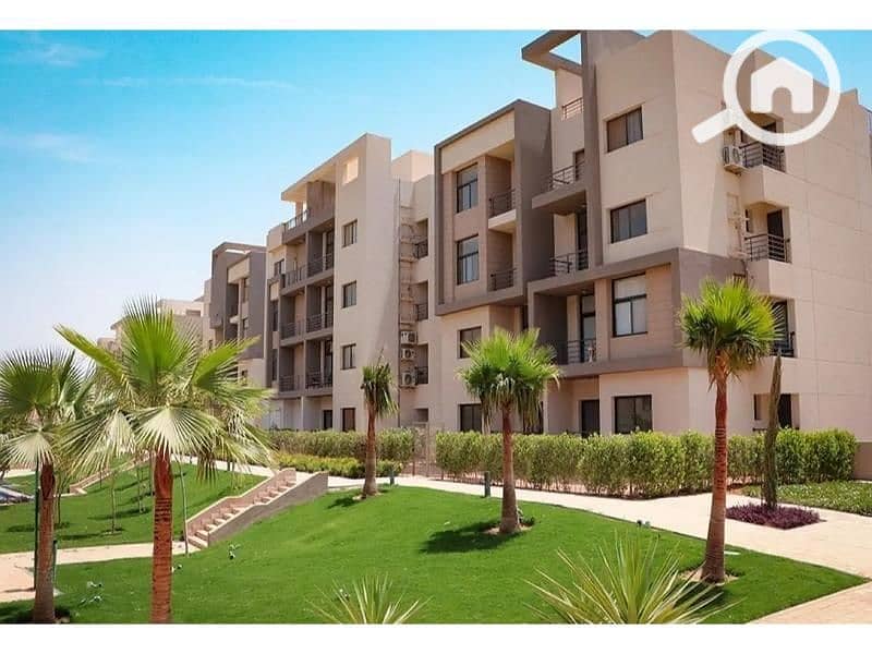 6 8082164-6b29do. jpg