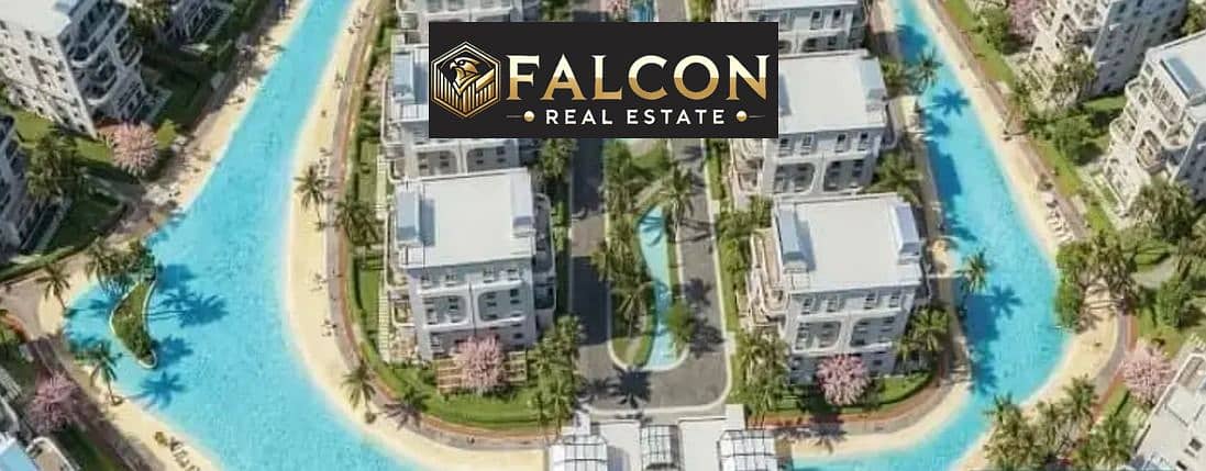 7 cba15564-1af9-4b57-a8ca-1232733731f1. jpg