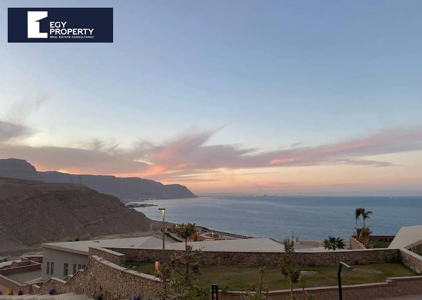 9 seashell (14). jpeg