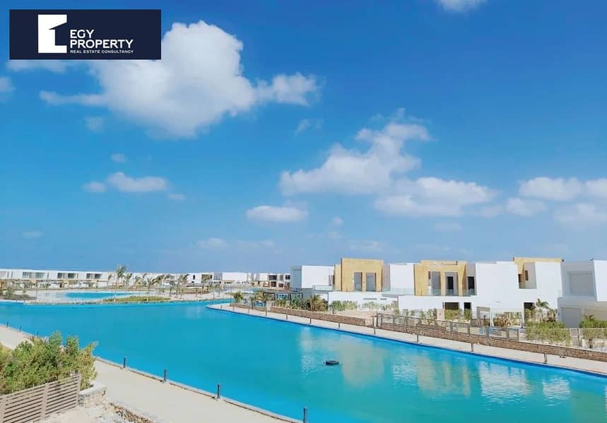 11 seashell (8). jpeg