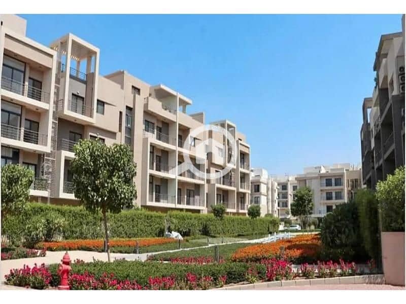 8082164-e67dco. jpg 8082164-e67dco. jpg