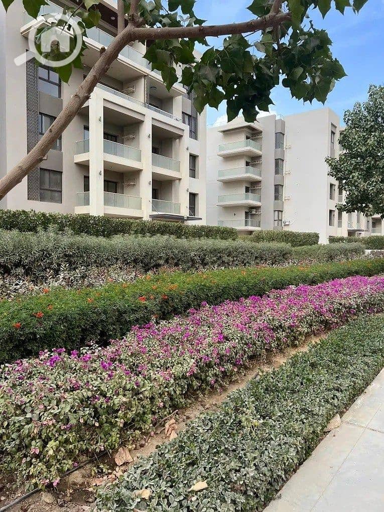 4 547134076_2367369643661314_8902870487408134944_n. jpg