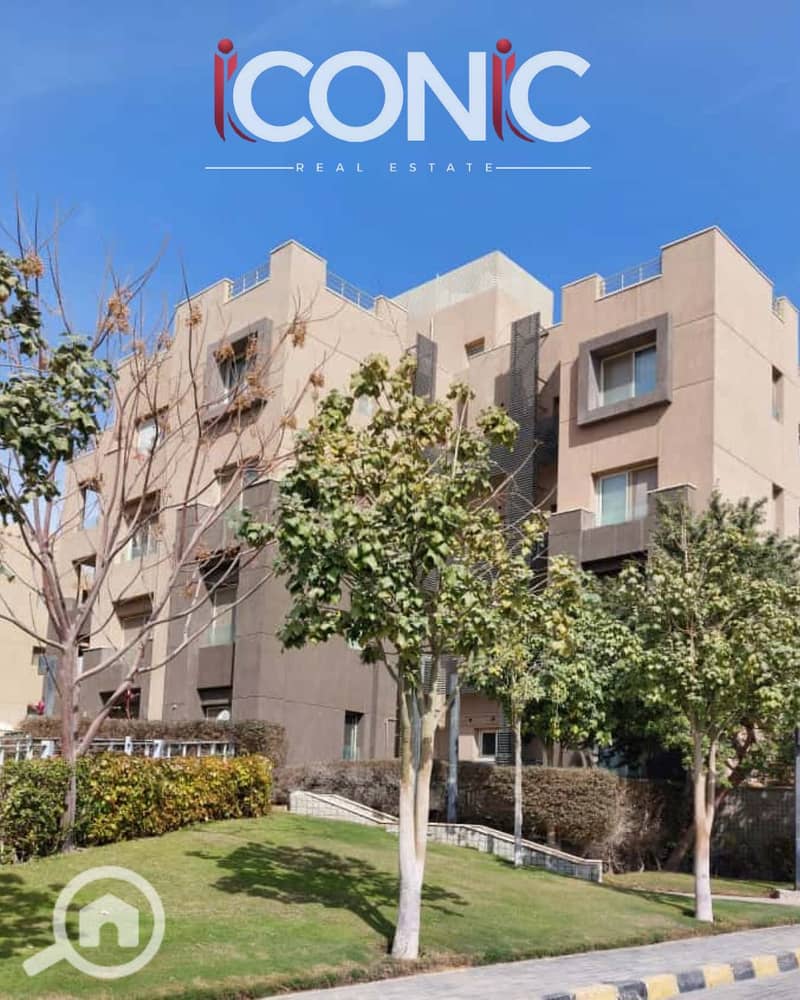 7 Untitled design (4). png