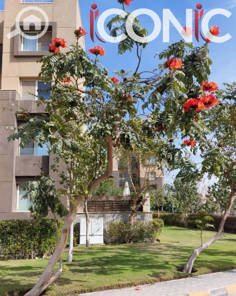 11 Untitled design (7). png