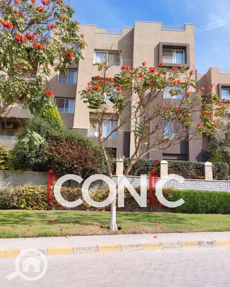 12 Untitled design (8). png