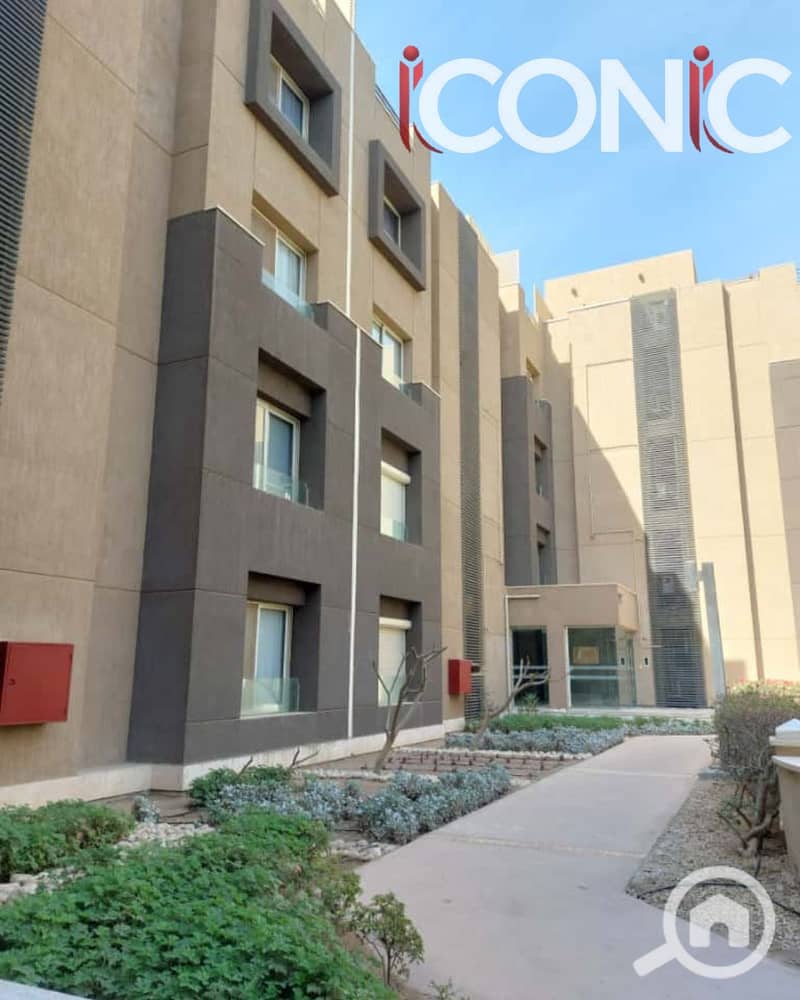 13 Untitled design (9). png