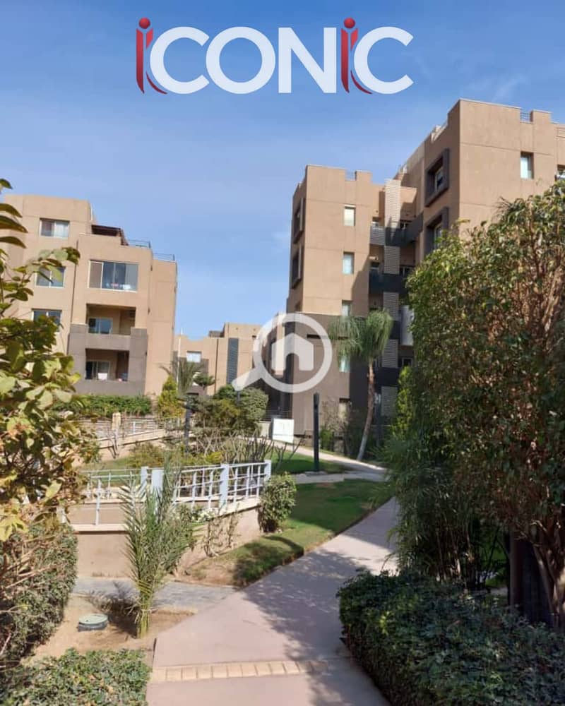 14 Untitled design (10). png