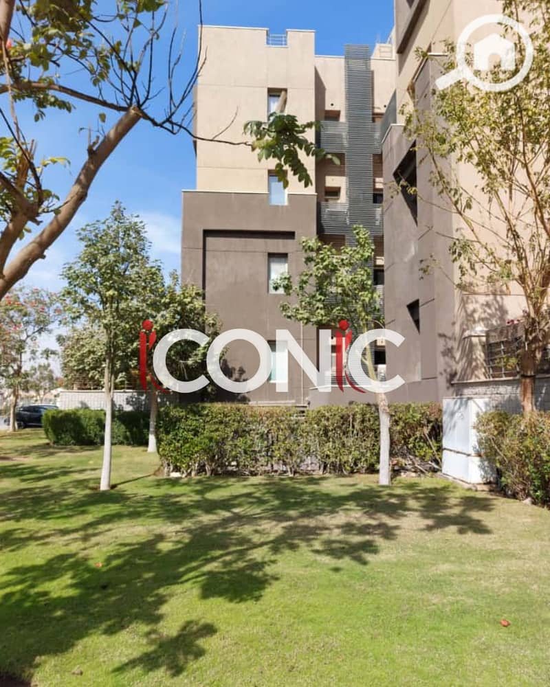 15 Untitled design (11). png