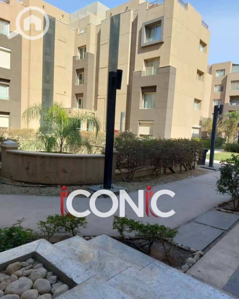 16 Untitled design (12). png