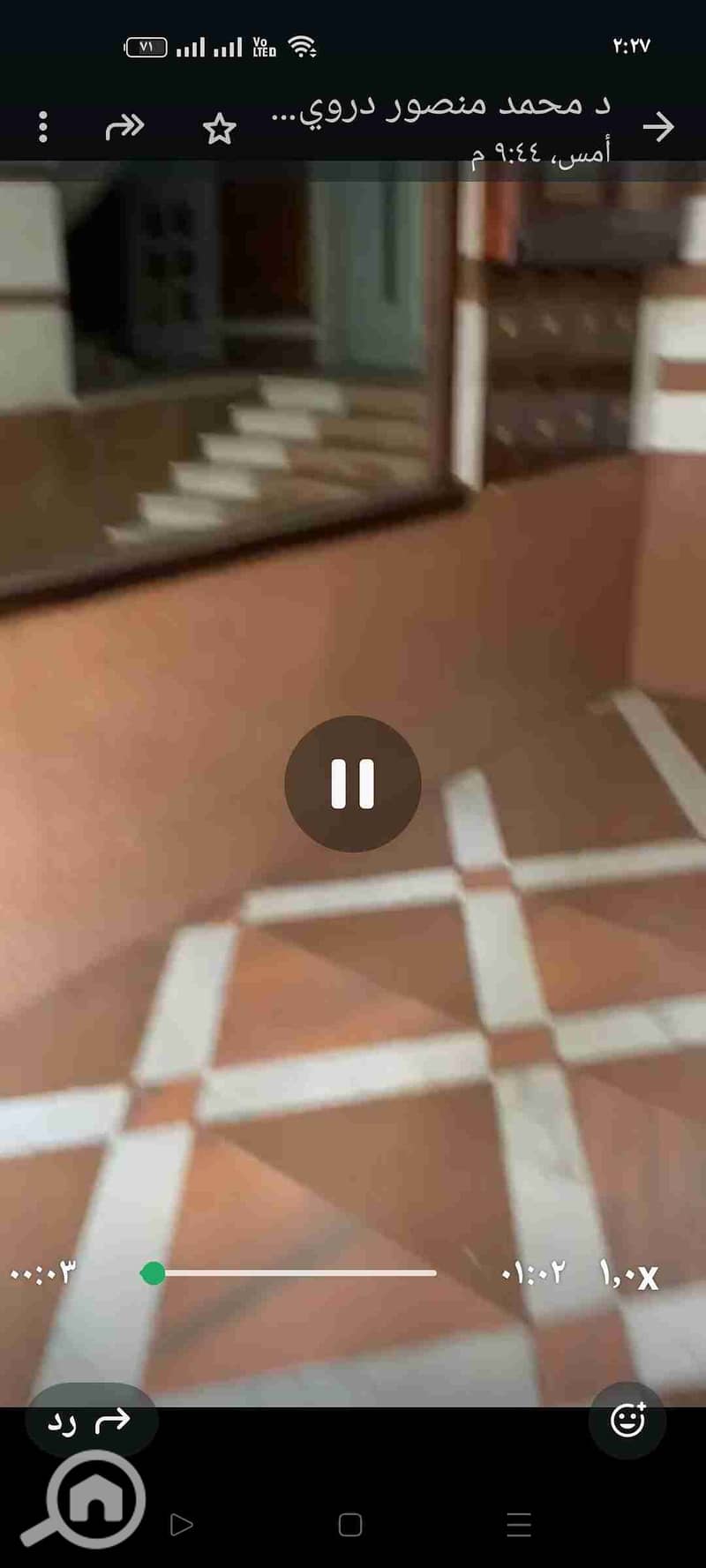 36 1000981806. jpg