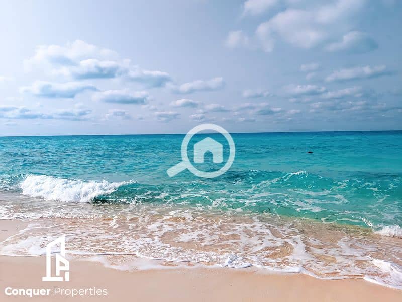 4 Untitled design - 2023-07-26T150526.631. png
