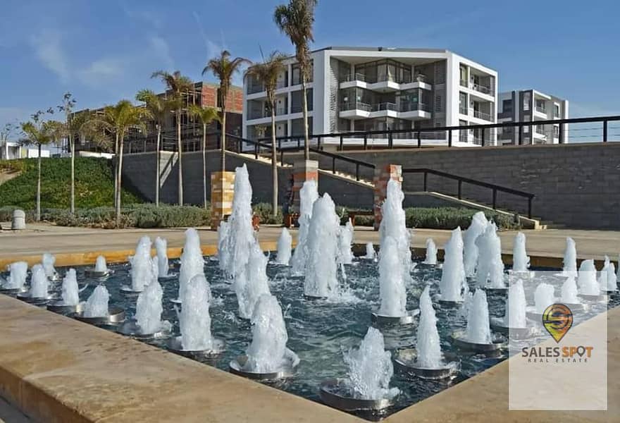 12 391610733_2122879624724974_6122902067683411928_n. jpg