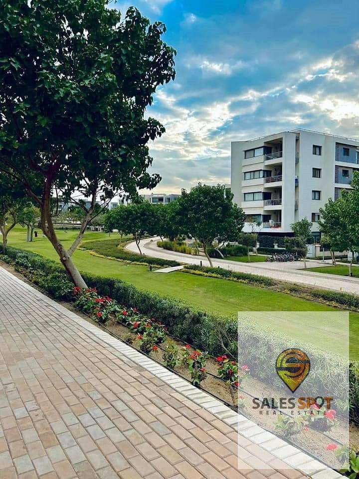 12 461396839_122120456774443892_8606034861344544656_n. jpg