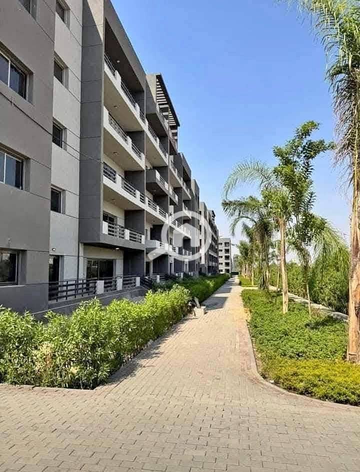 6 524706223_1299494818187404_6478923198452972029_n. jpg