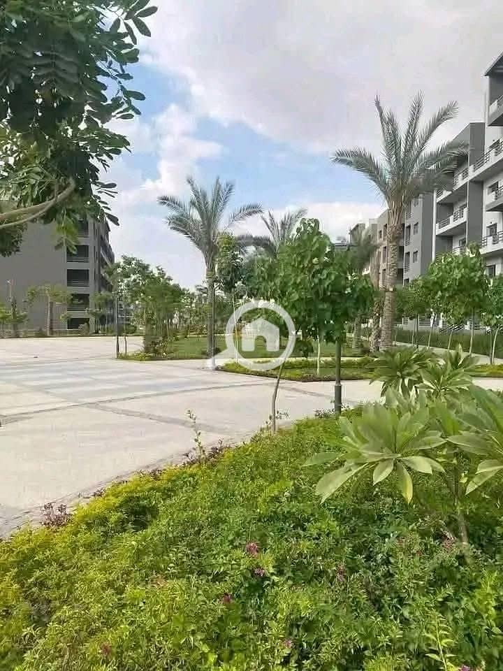 9 528260246_1196870355460980_7800171767976487503_n. jpg