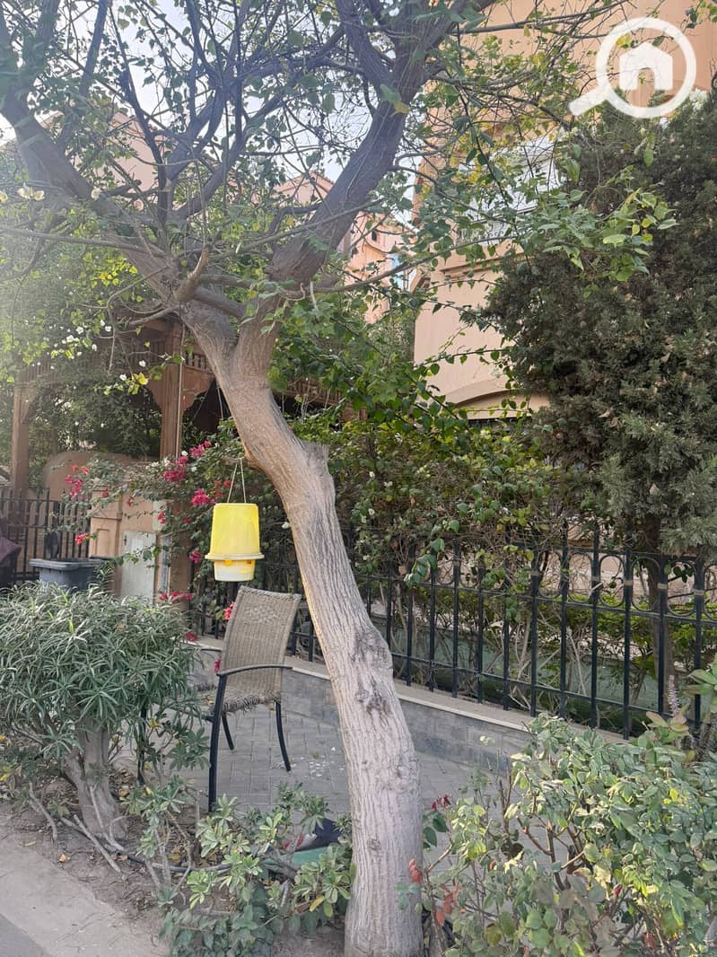 2 WhatsApp Image 2024-12-31 at 1.43. 12 PM. jpeg