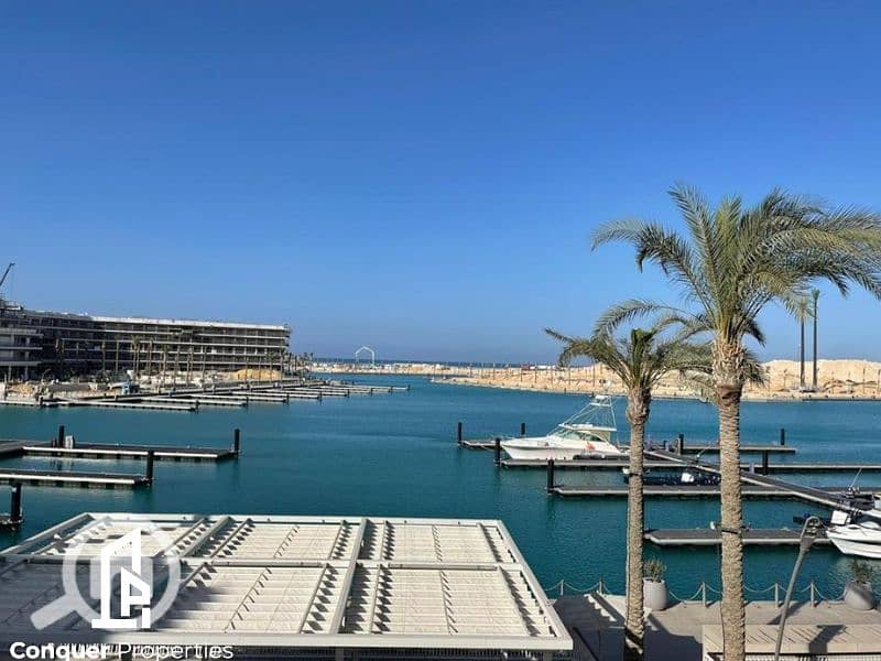 6 Untitled design - 2023-10-23T164135.809 - Copy. png