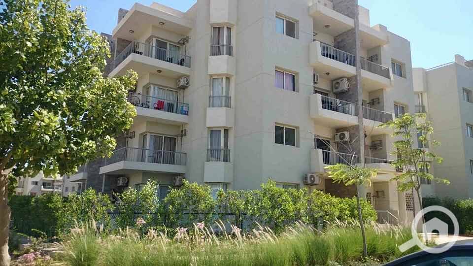 3 WhatsApp Image 2025-10-07 at 4.45. 49 PM (3). jpeg