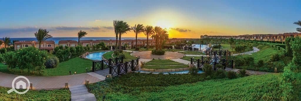 7 WhatsApp Image 2025-10-23 at 3.24. 13 PM (3). jpeg