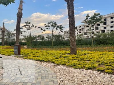 1 Bedroom Apartment for Rent in New Cairo, Cairo - WhatsApp Image 2021-09-22 at 6.03. 34 PM (1). jpeg