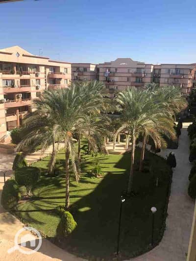 3 Bedroom Flat for Rent in New Cairo, Cairo - 1000173377. jpg