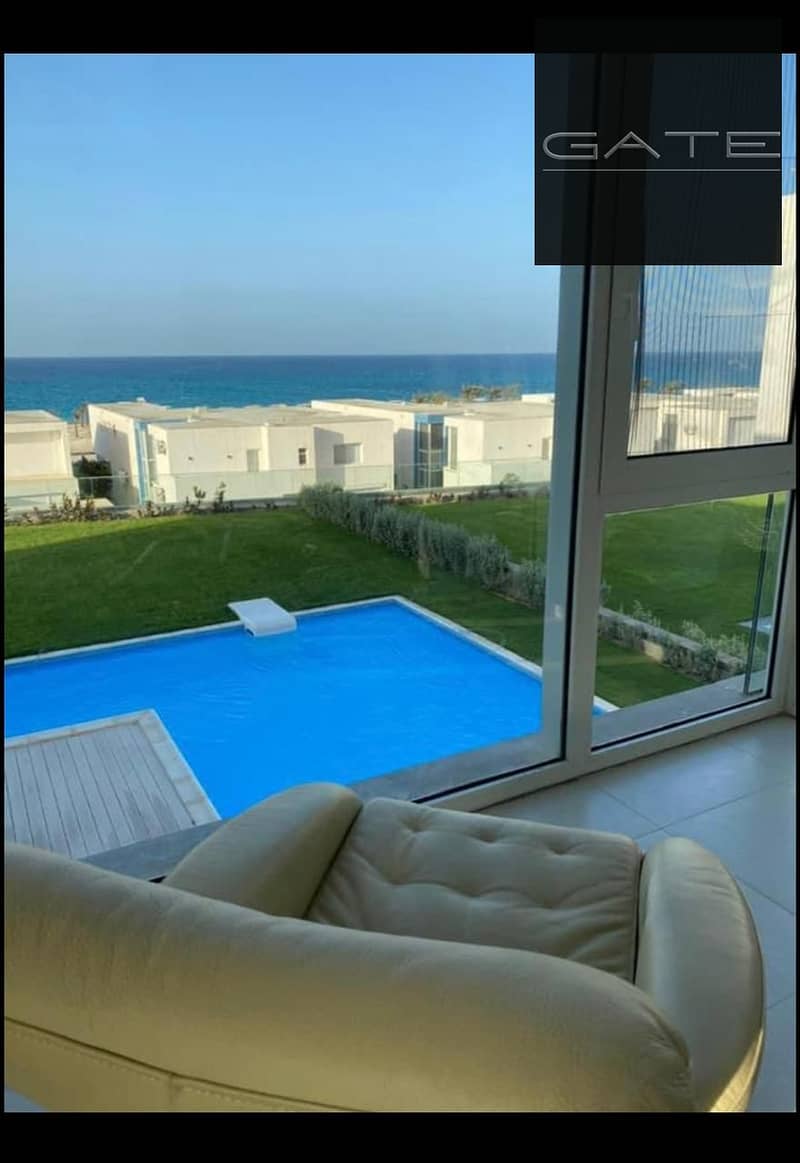 فوكا. jpg فوكا. jpg