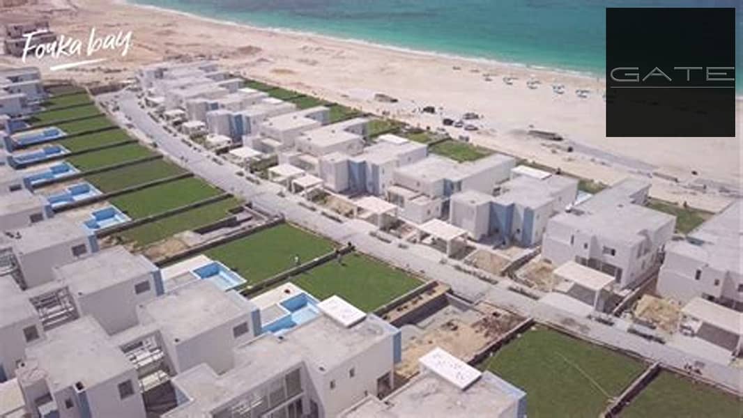 3 فوكا باي 1. jpg