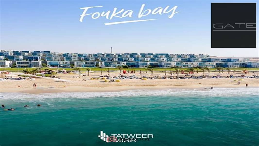 4 فوكا باي. jpg