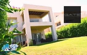 6 سينور هاسيندا باي. jpg