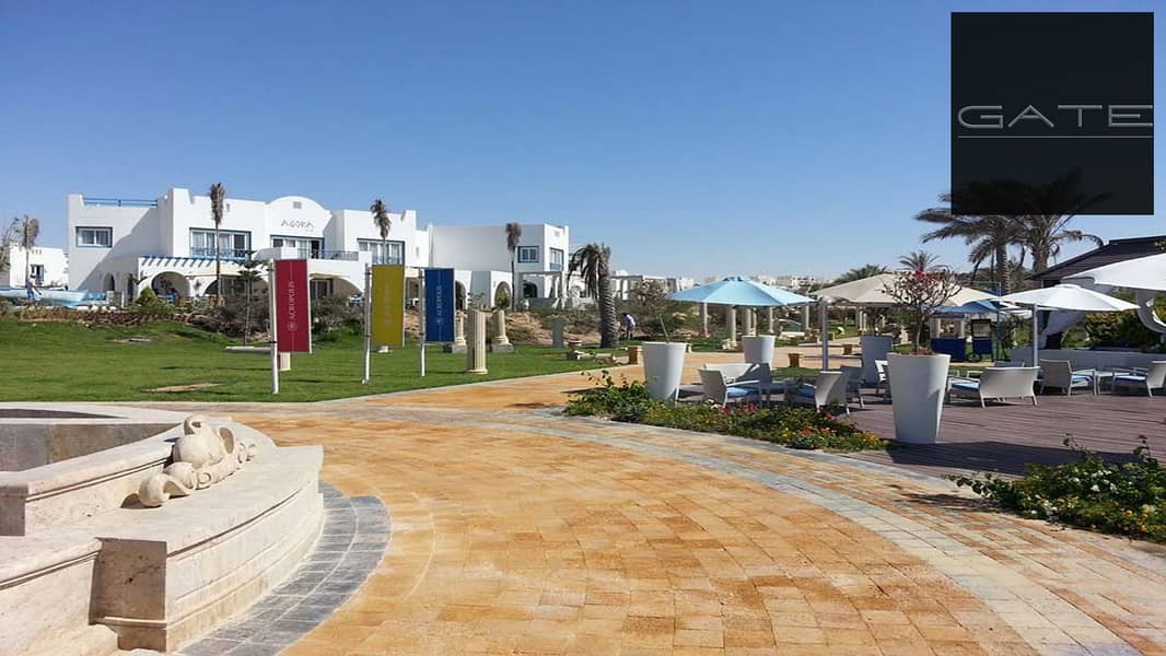 10 EArfgQmBRVO2iCLUuPa6BucBL1zbDt. jpg