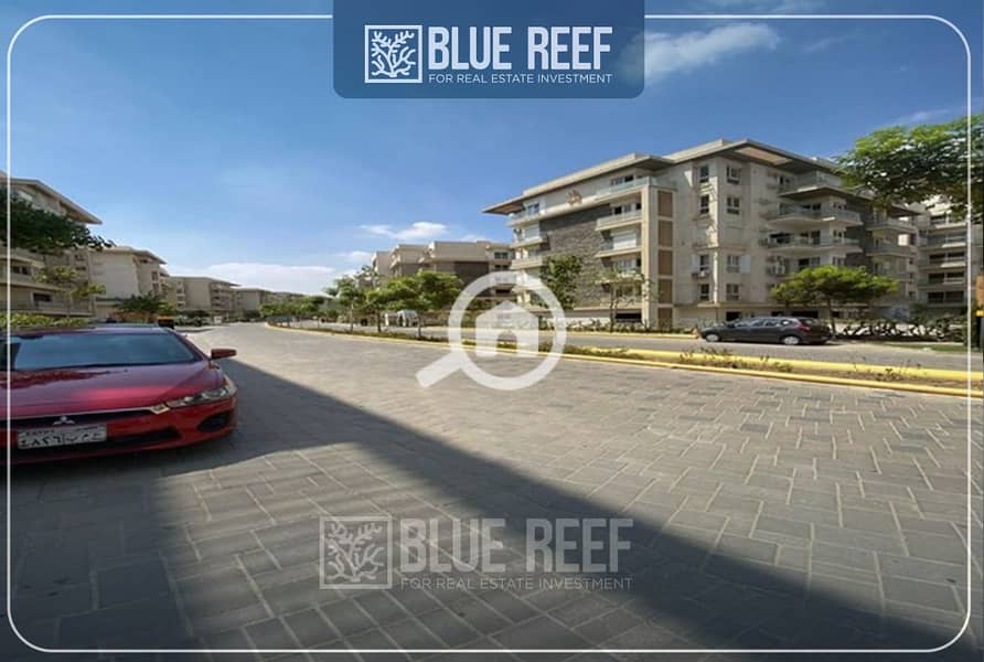 6 يفافتفغ - Copy. jpg