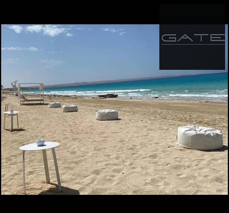 3 WhatsApp Image 2025-04-29 at 2.14. 41 PM. jpeg