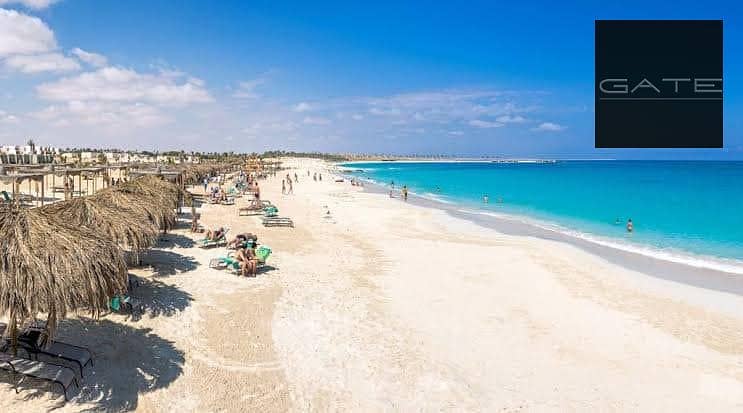 3 105381048_619790691978919_998598747023069591_n. jpg