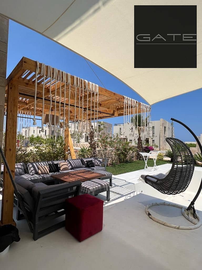 4 347433024_995479544787954_2293038269685528698_n. jpg