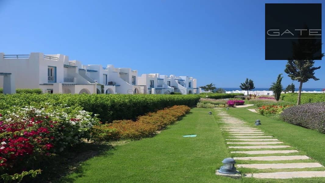 8 339778151_1699676727114344_3145875485464808452_n. jpg