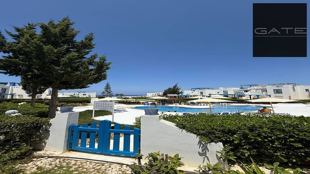 91e6905d-4c3a-41da-ab89-81b50d1a33df. jpg