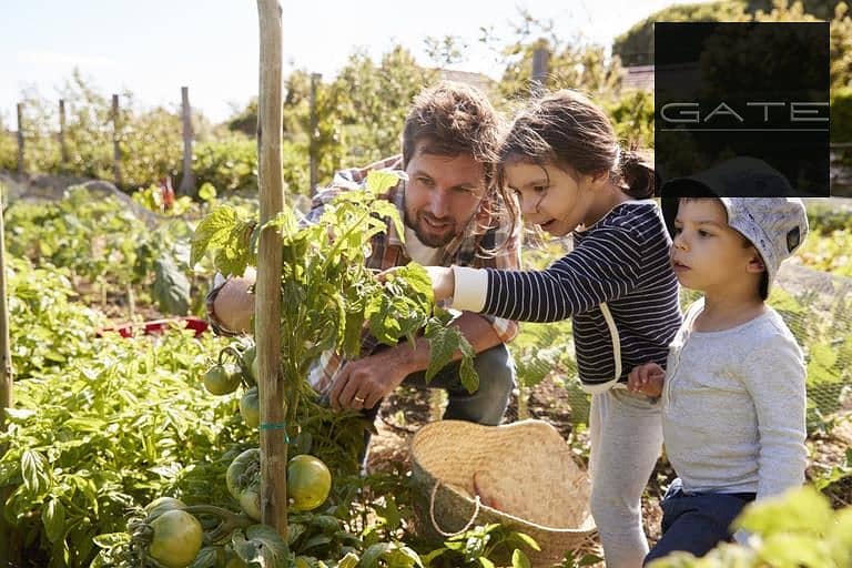 3 خدمات-كمبوند-اليفا-المستقبل-سيتي. jpg