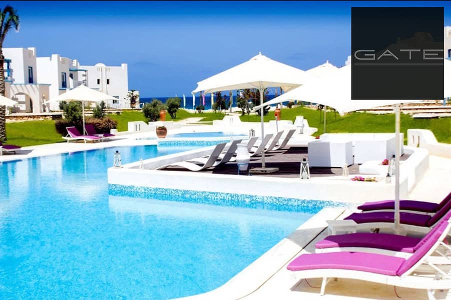 631ea19f-73e8-4d95-b3ca-913175d4d457. jpeg 631ea19f-73e8-4d95-b3ca-913175d4d457. jpeg