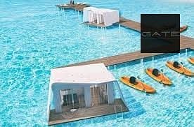 10 تنزيل (1). jpg