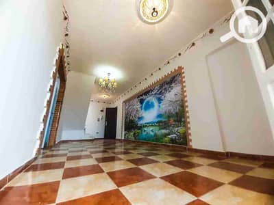 دوبلكس 3 غرف نوم للبيع في النخيل، الإسكندرية - 1000165184. jpg