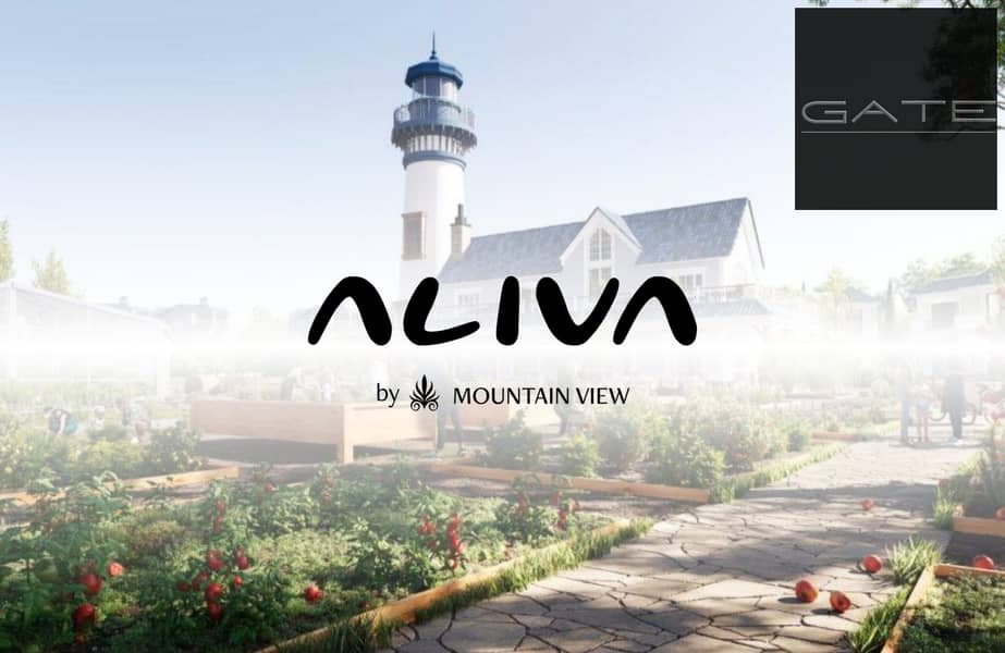 6 Aliva-news-scaled. jpg