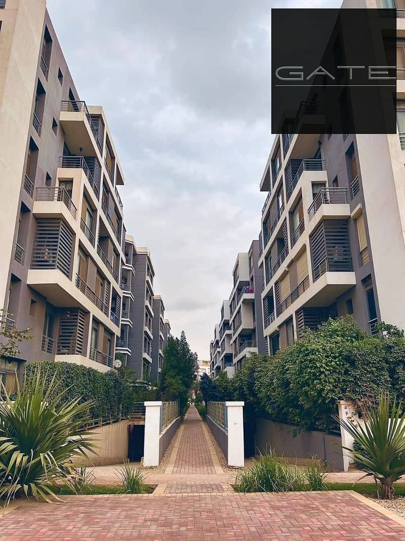 6 420502148_1542845109885681_5924974281717998291_n. jpg