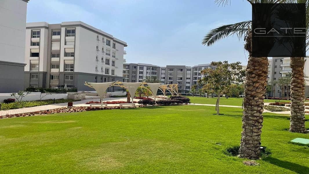 4 402887380_3553837104838596_3417019294285420658_n. jpg