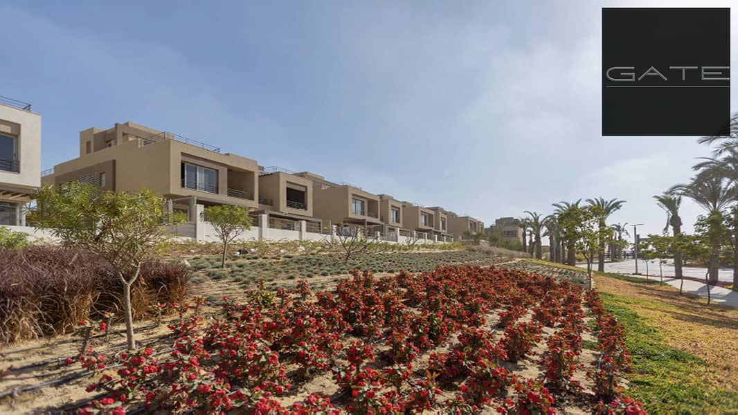 4 palm_new_cairo_town_1. png