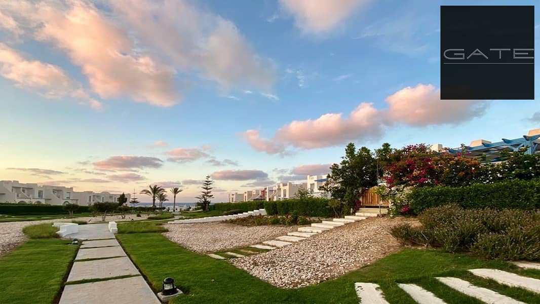 6 WhatsApp Image 2021-05-20 at 5.26. 37 PM (1). jpg