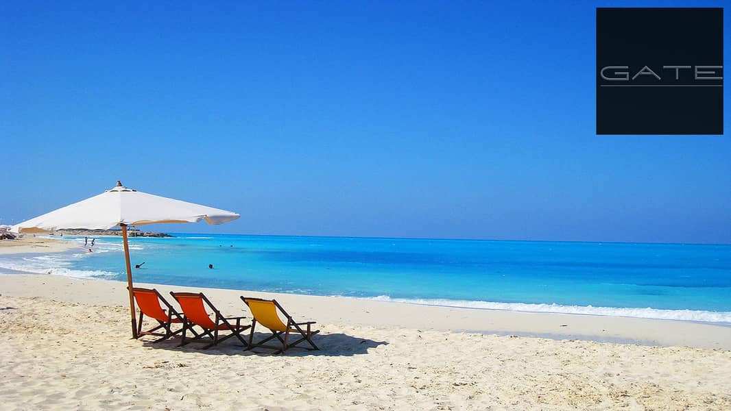 2 4Tt5E3TBMSqIX8a2cGMOqYtFqewBdW. jpg