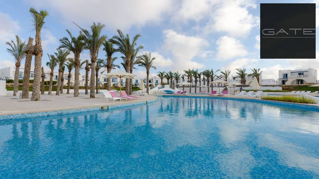 8 eDSC_0001 (13). jpg