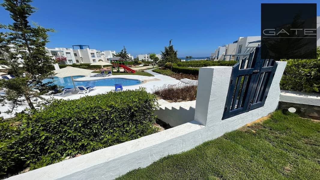 4 473188997_982574290411820_4205038958160231687_n. jpg