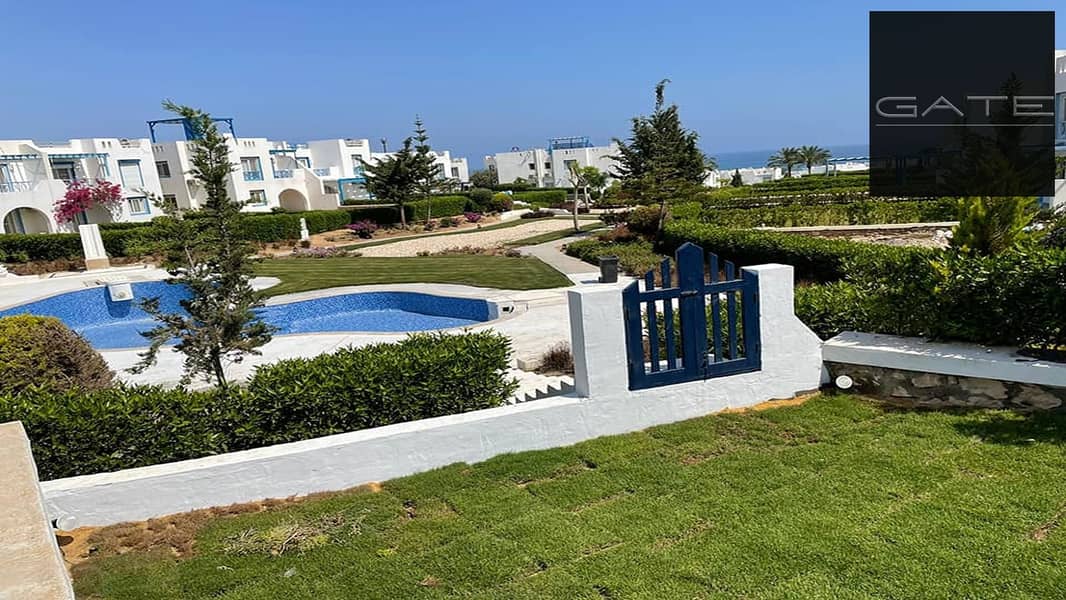 7 472691532_982574077078508_8088010086851702724_n. jpg